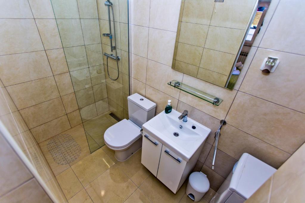 a bathroom with a shower and a toilet and a sink at Apartments Tatjana Dominis in Hvar