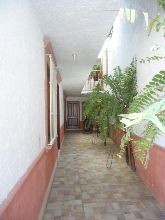 Fotografie z fotogalerie ubytování Hotel San Isidro v destinaci Bernal