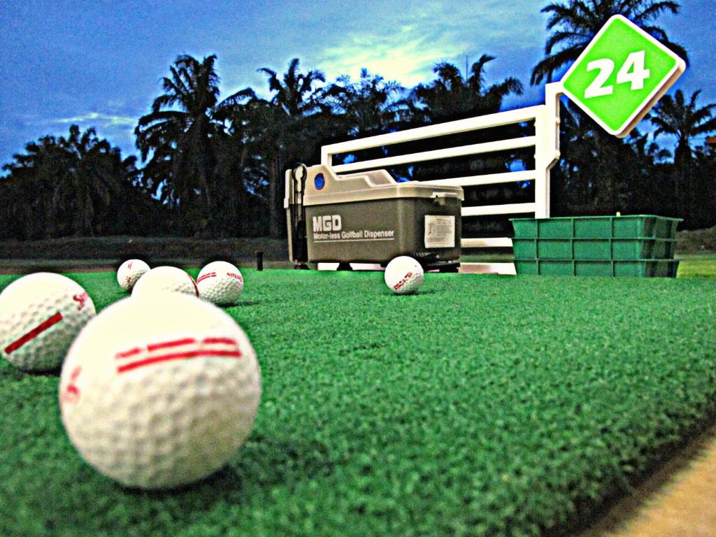 grupa piłek golfowych siedzących na trawie w obiekcie Palm Driving Range & Resort w mieście Krabi