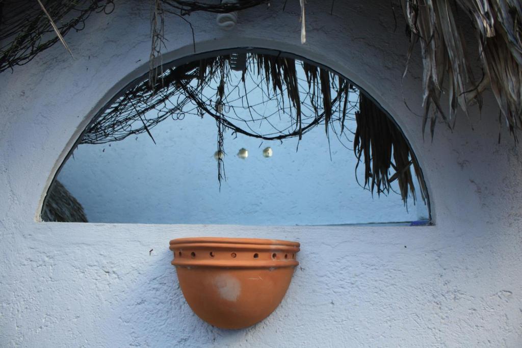Fotografie z fotogalerie ubytování Amaranto Bed and Breakfast v destinaci Cozumel