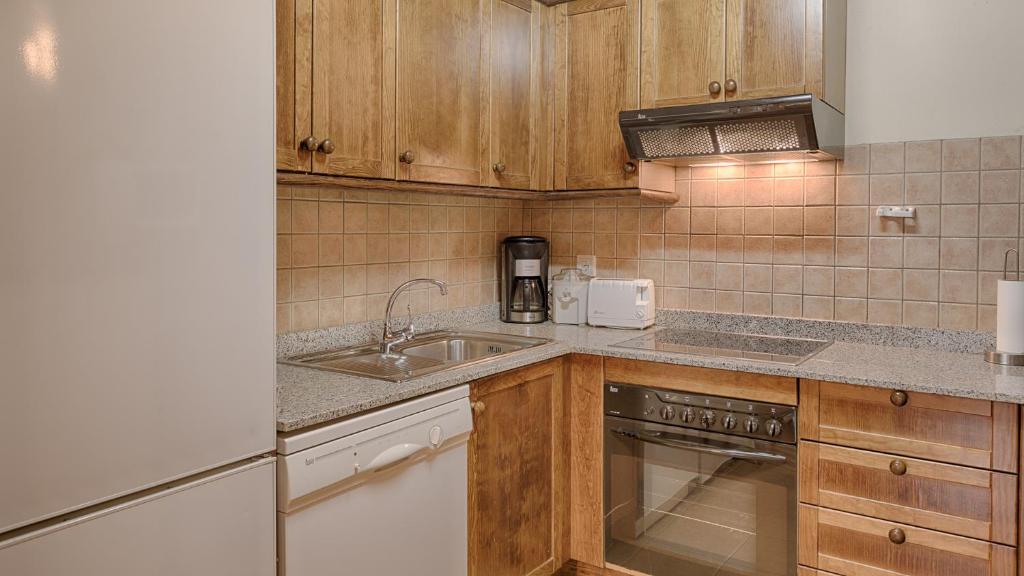 Kuchyň nebo kuchyňský kout v ubytování Saplan Real Estate PLETA NHEU