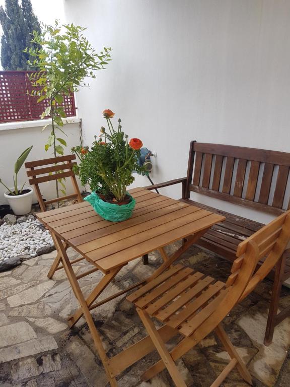 Fotografie z fotogalerie ubytování Tropical Andalusian place v destinaci Almuñécar