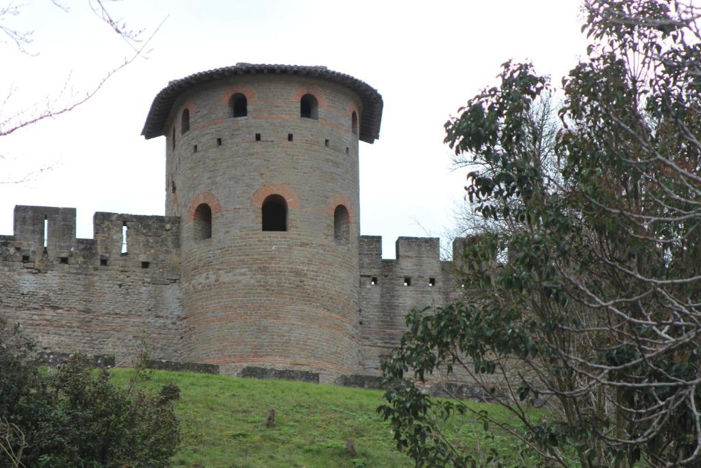 um grande castelo de tijolos com uma torre numa colina em Gîte les 3 tours 1e étage em Carcassonne