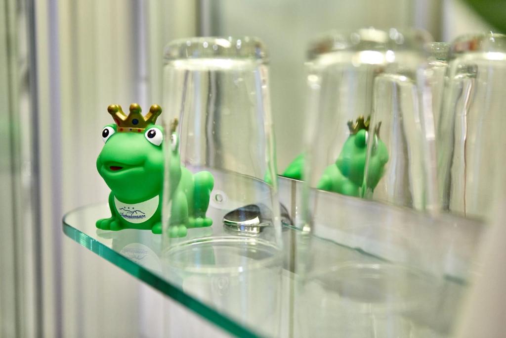 Hotel Aschenbrenner - 5