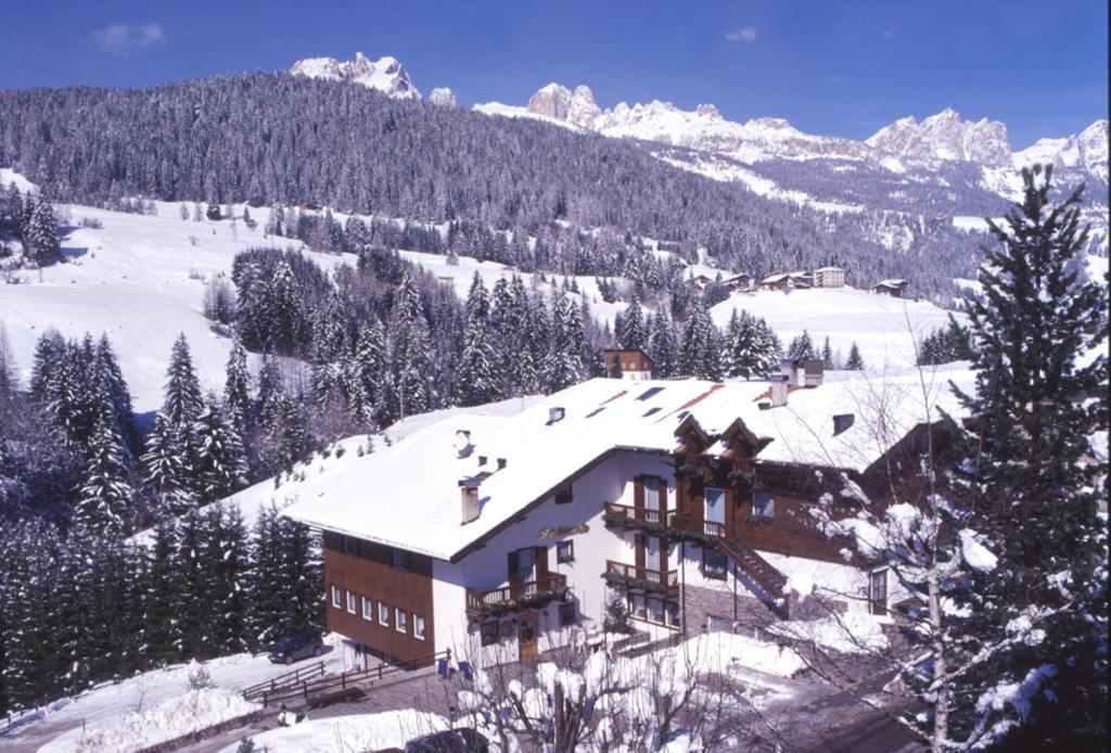 Debra Park Hotel v zimě