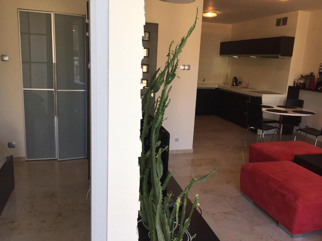 Kuchyňa alebo kuchynka v ubytovaní Apartament "Czantoria"
