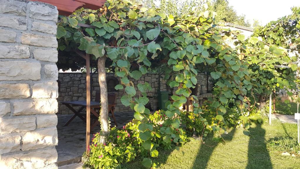 Vonkajšia záhrada v ubytovaní Holiday Home Linet