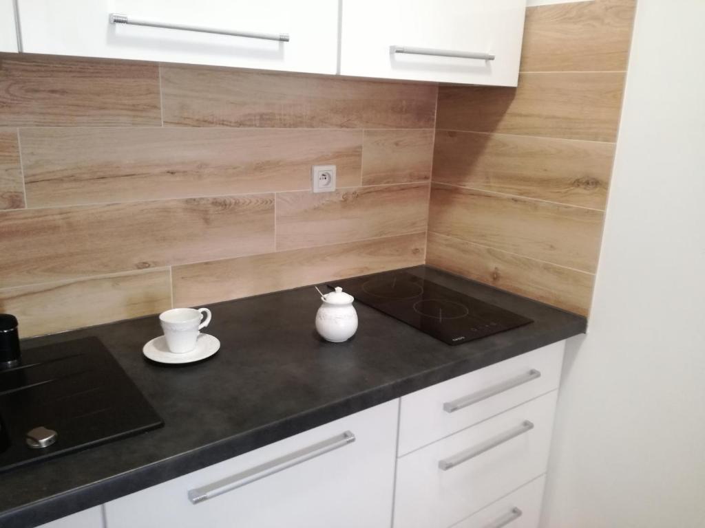 Kuchyňa alebo kuchynka v ubytovaní Novitas Apartments