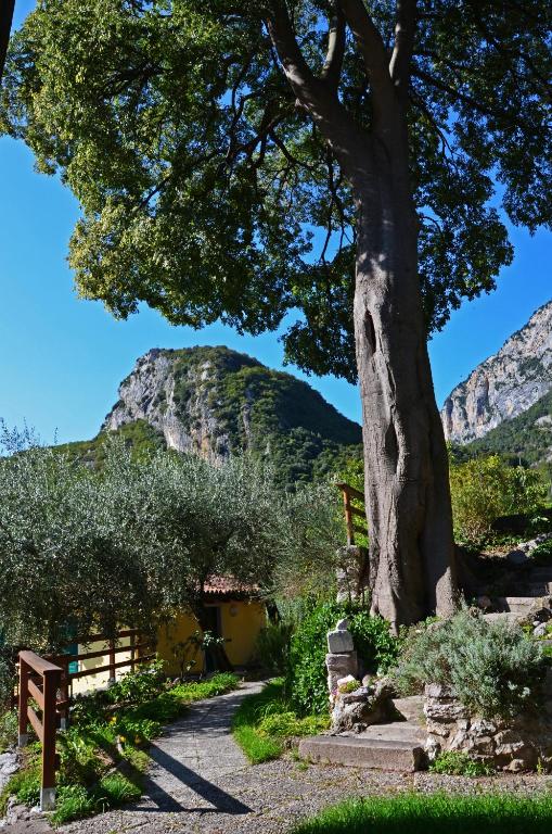 Nespecifikovaný výhled na hory nebo výhled na hory při pohledu z bed and breakfast