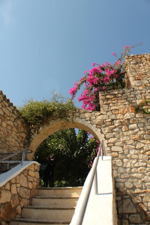 Fotografia z galérie ubytovania Tsivouli Accommodation v destinácii Lithakia