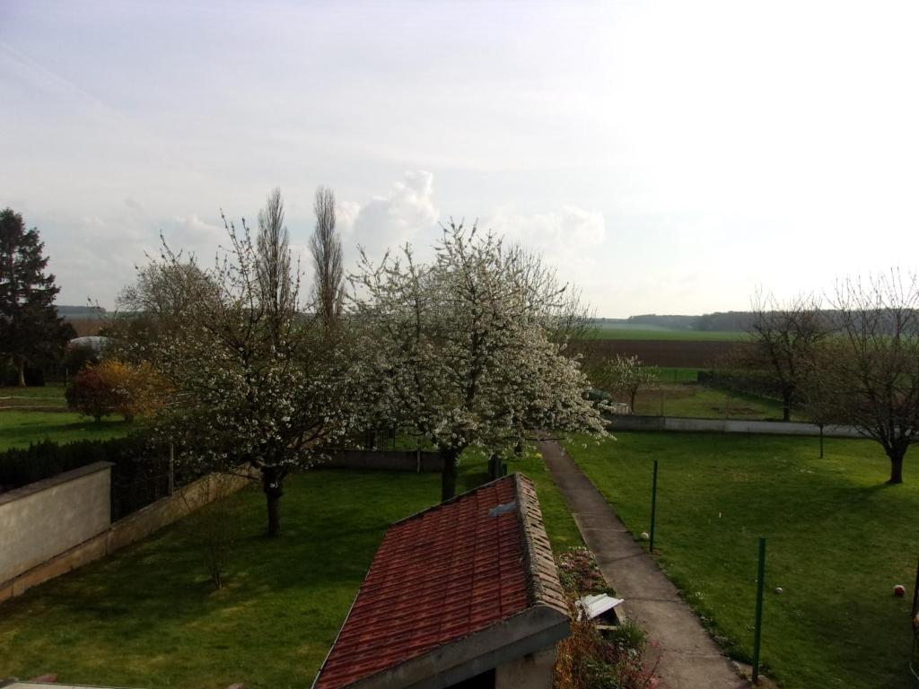 an apple tree in a field with a roof at Gîte à la campagne in Cressonsacq