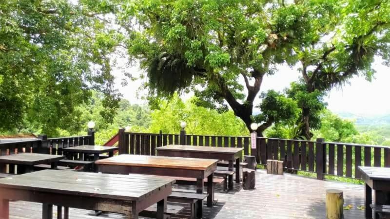 a group of picnic tables with a tree in the background at JS Hotspring in Ruisui