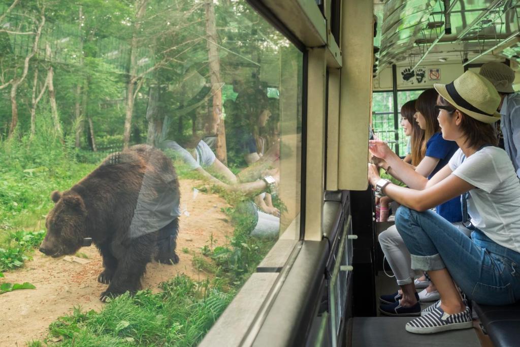 a group of people on a train looking at a bear at Sahoro Resort Hotel in Shintoku