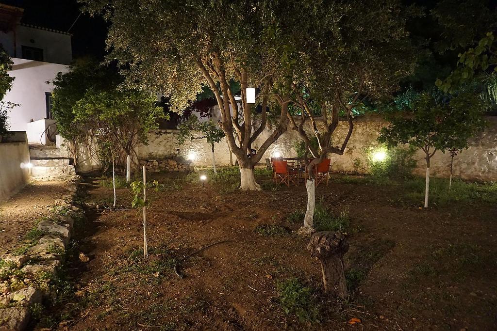 Aed väljaspool majutusasutust Two Olive Trees
