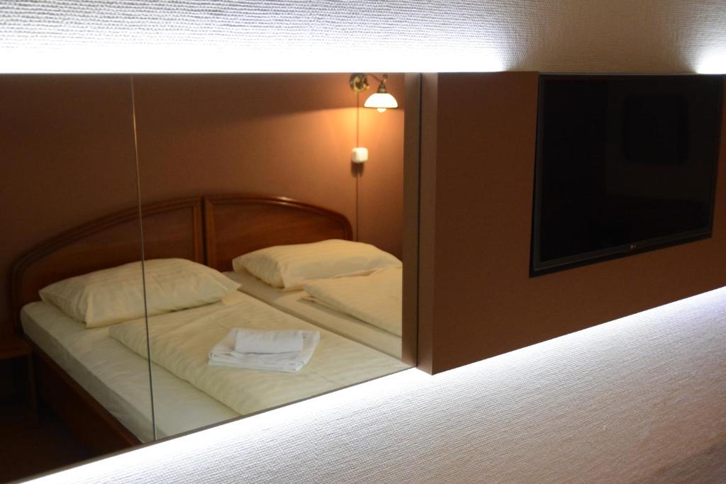 Postel nebo postele na pokoji v ubytování Hotel Minerva