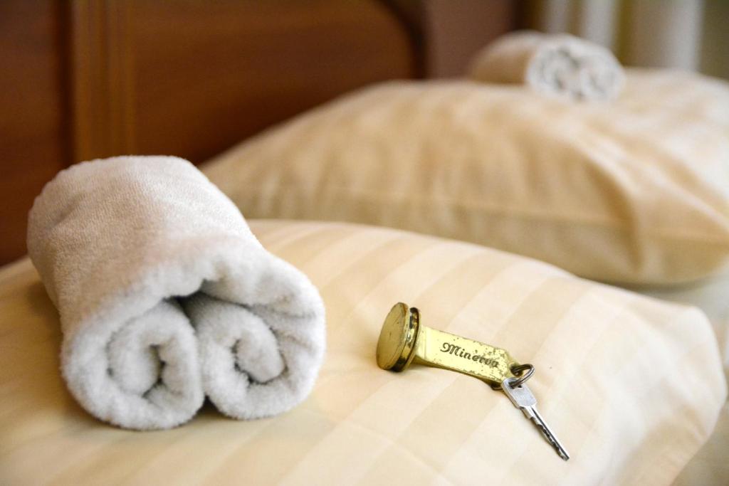 Postel nebo postele na pokoji v ubytování Hotel Minerva