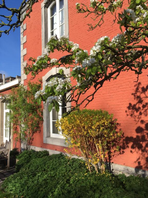 Zahrada ubytování Chambre d'Hôtes Les Augustins - Parking sécurisé - Borne de recharge