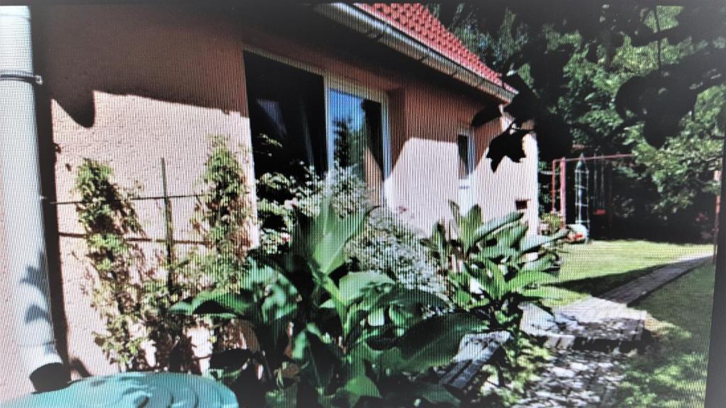 una casa con una valla y plantas delante de ella en Uns lütt Hus, en Krakow am See