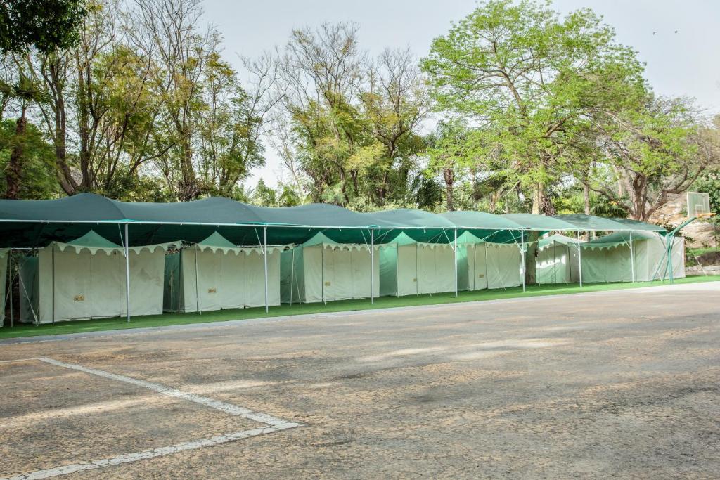 Fotografie z fotogalerie ubytování The Camping Site Hamat Gader v destinaci Kineret