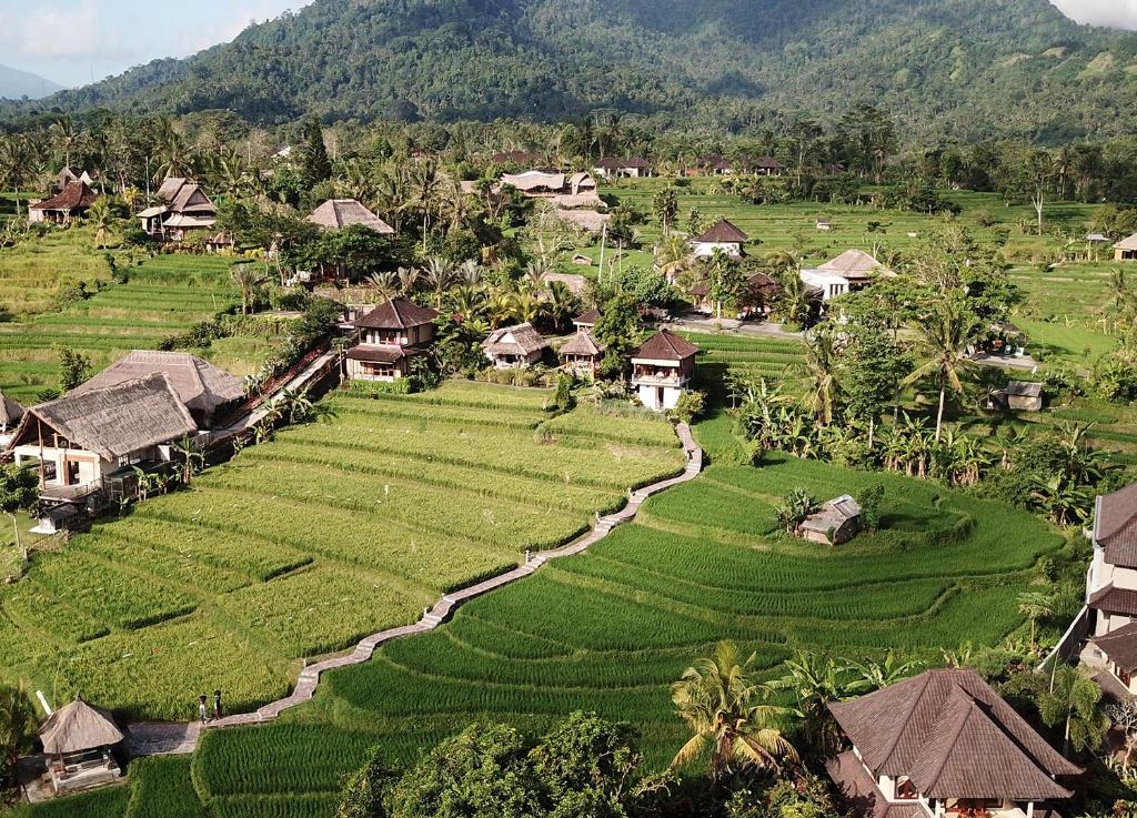 an aerial view of a village with rice fields and houses at Embang Homestay in Sidemen