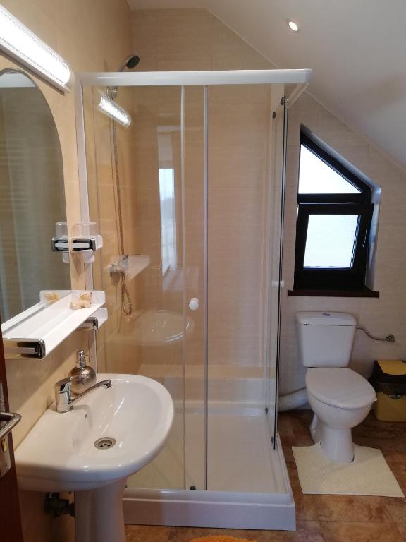 bagno con doccia, lavandino e servizi igienici di Agropensiunea Ioana a Suceava