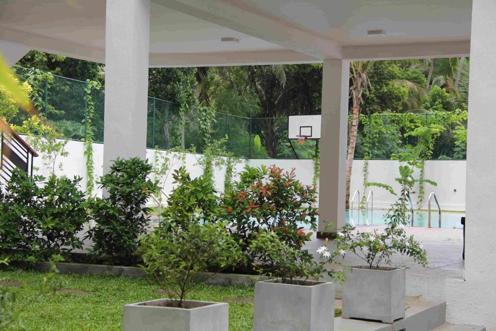 Serenity Tissa tesisinin dışında bir bahçe
