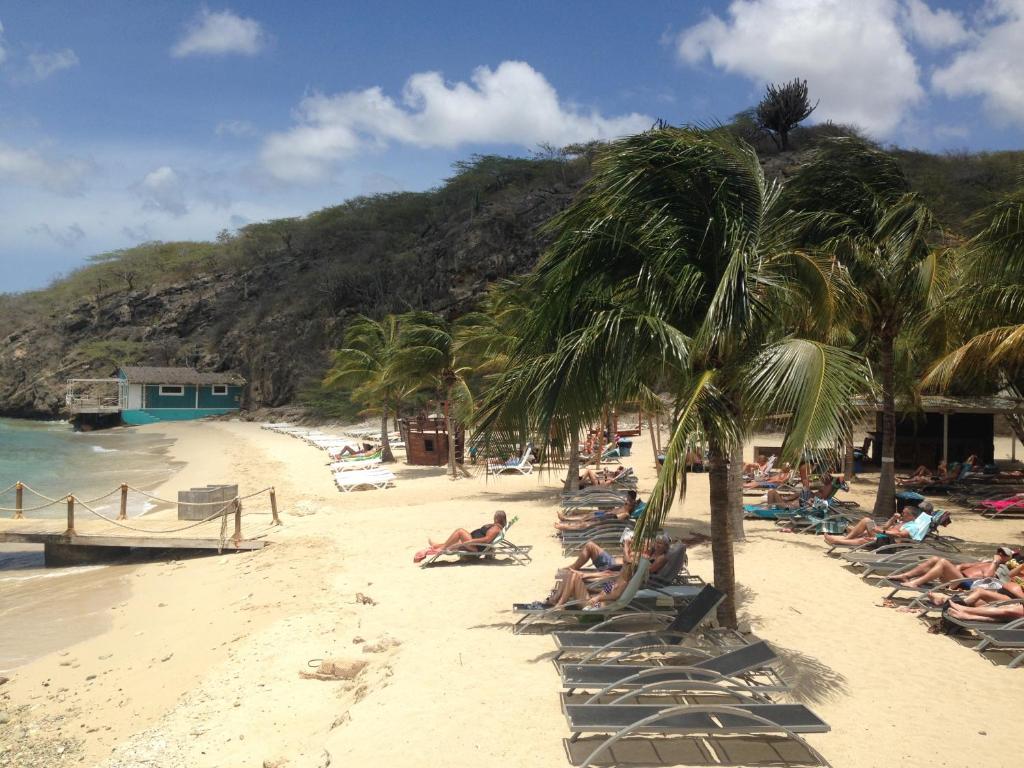 a group of people laying on a beach with a palm tree at Blije Rust 10 in Willemstad
