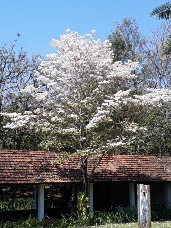  Sitio Ecologico Scandolo