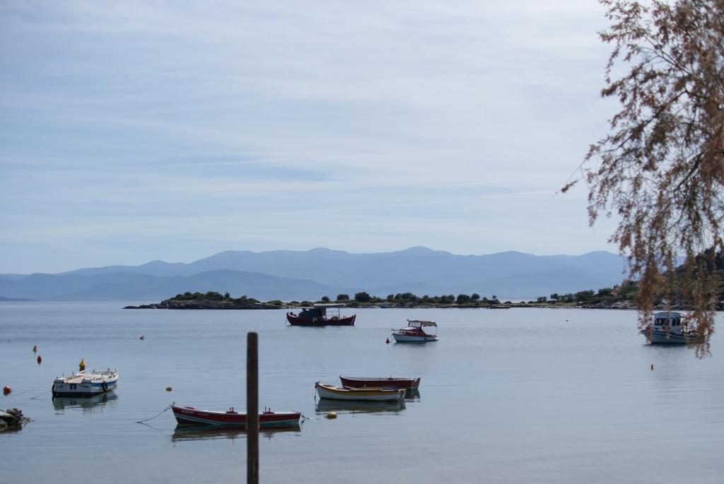 a group of boats floating on a large body of water at Seaside Resort in Kritharia