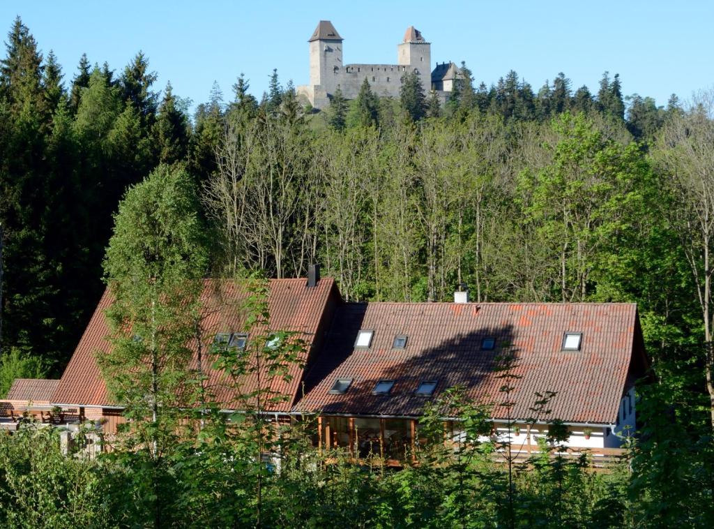 a castle on top of a hill with roofs at Penzion Na Habeši in Kašperské Hory