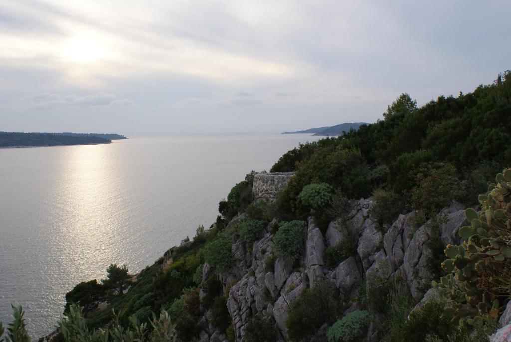 Príroda v okolí apartmánu