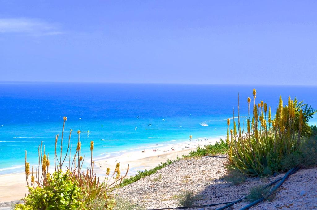 a view of a beach with people in the water at Residencial Playa Paraiso in Costa Calma