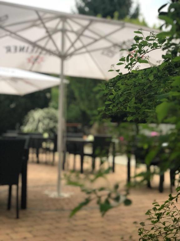 Zahrada ubytování Landhotel Traube