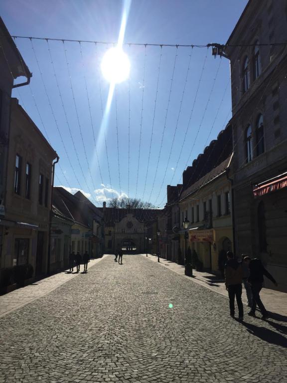 a street with people walking down a street at Apartmány Jarkova in Prešov