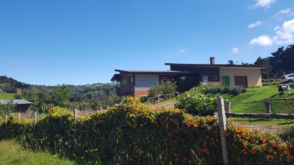 Zahrada ubytování Quinta Esencia