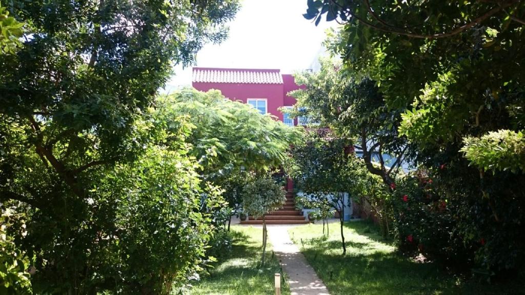 Ogród w obiekcie Casa El tonelero con jardín y piscina privada