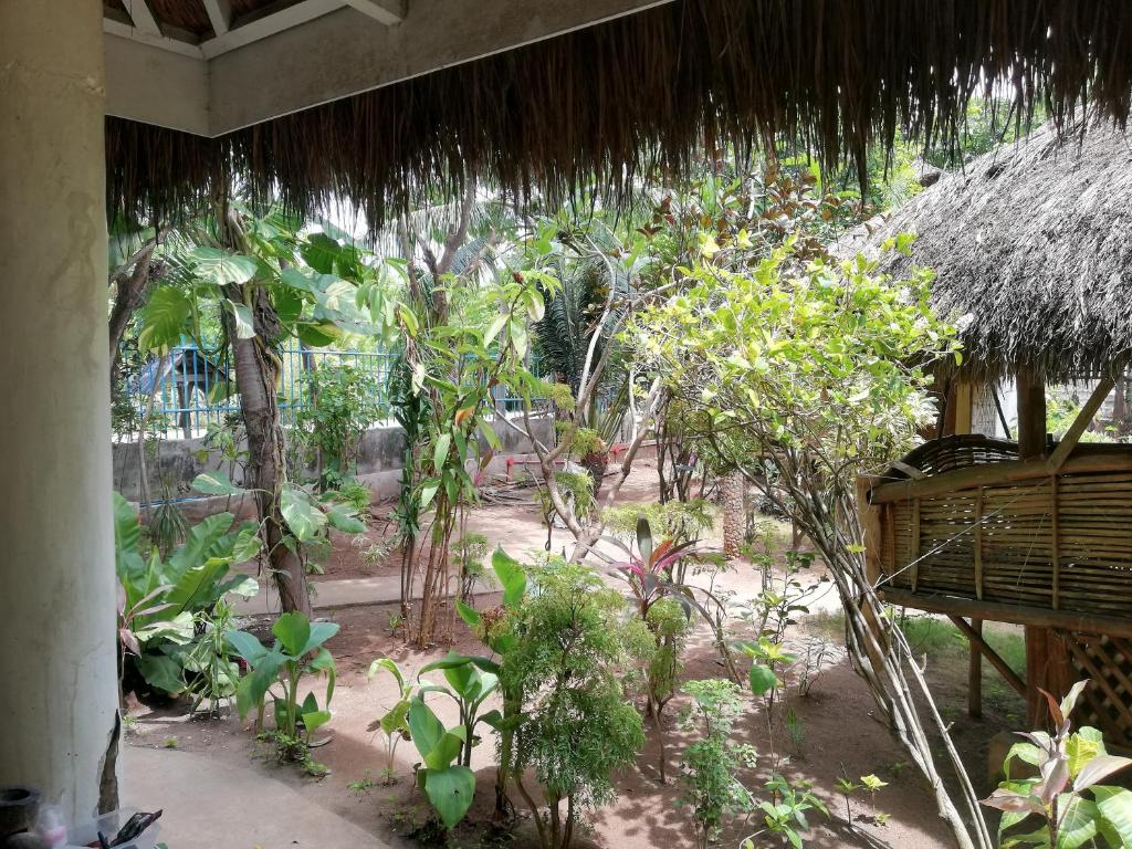 Un jardín fuera de Stevrena Accommodations