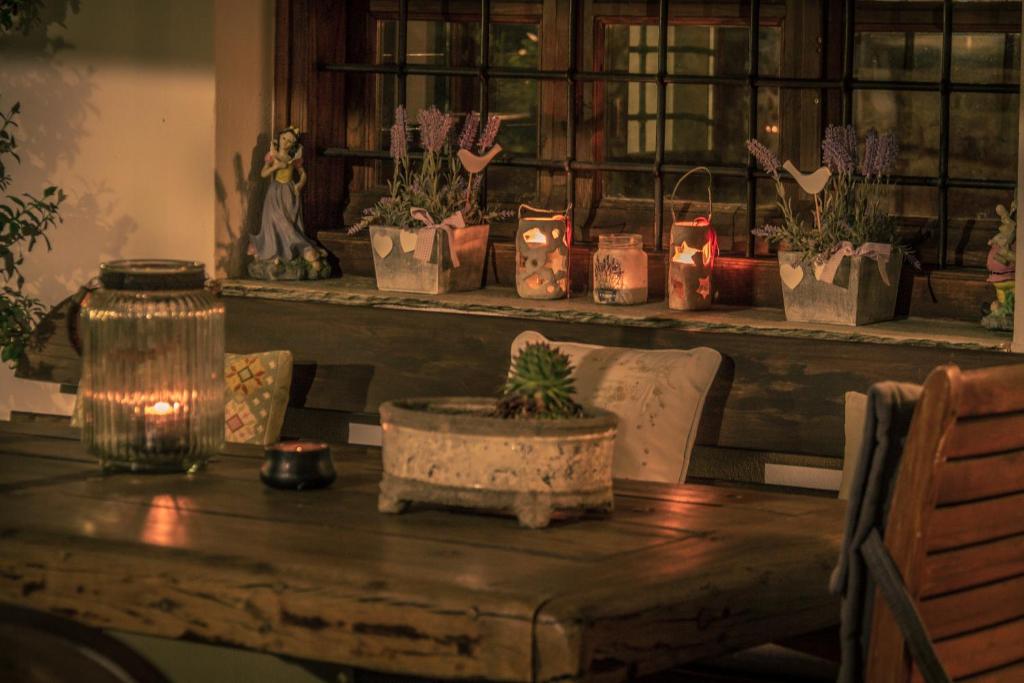 un tavolo in legno con piante in vaso su una mensola di Villa Virginaki a Portariá