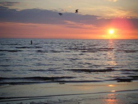 a sunset over the ocean with two birds flying at skummeslöv B & B in Laholm