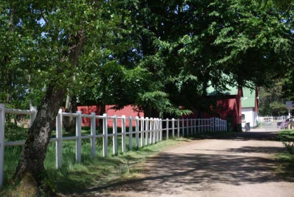 Zahrada ubytování skummeslöv B & B