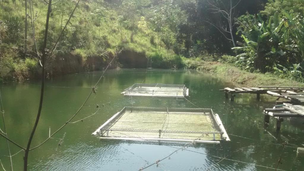  Sitio Colina Verde