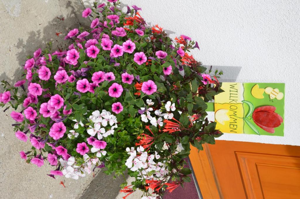 Vonkajšia záhrada v ubytovaní Ferienwohnung Möderndorfer, Fulpmes