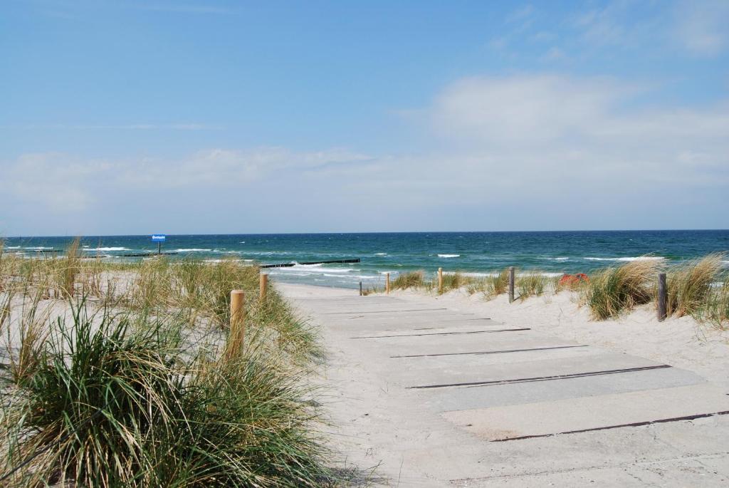 a path through the sand on the beach at Ferienwohnung am Meer in Markgrafenheide
