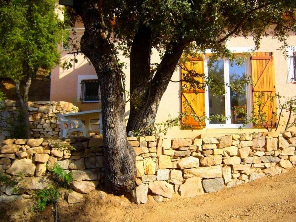 una pared de piedra con un árbol delante de un edificio en 1 Trova-Ranocchietto en Tucce