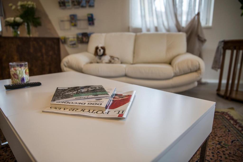 a white coffee table in a living room with a couch at Hotel Buena Onda in Peschiera del Garda