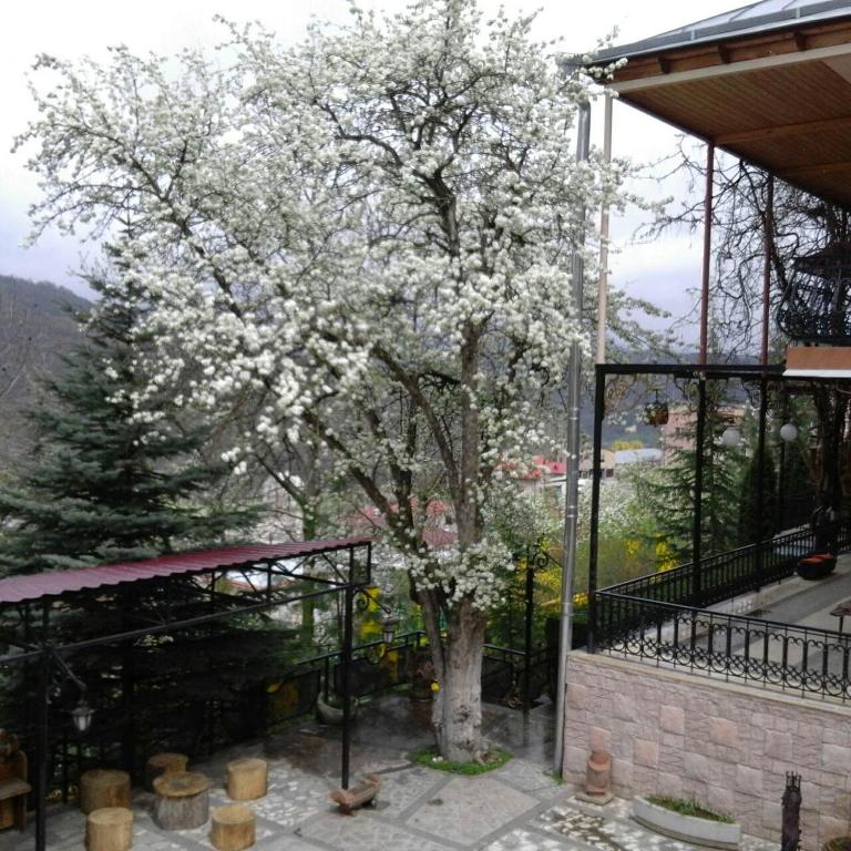 Nespecifikovaný výhled na hory nebo výhled na hory při pohledu z hotelu