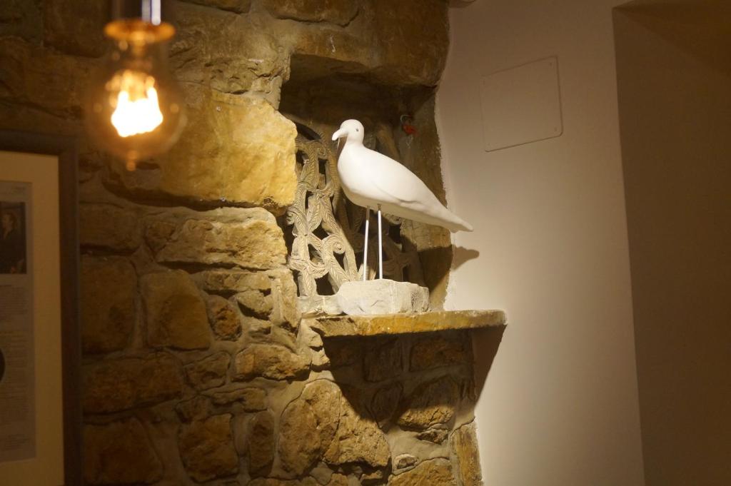 un oiseau blanc assis au-dessus d'un mur de pierre dans l'établissement Bed and Brekfast Donatella, à Piran