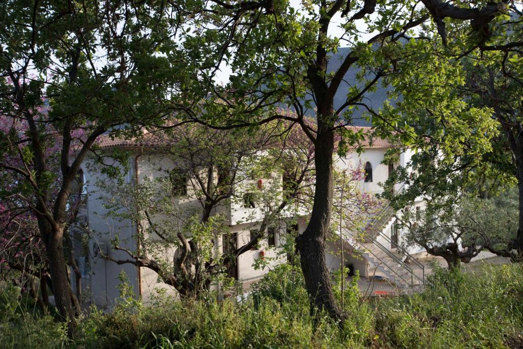 Příroda nedaleko apartmánu