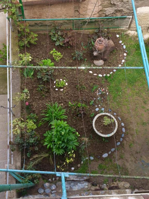 Zahrada ubytování Apartment Zaziashvili 30