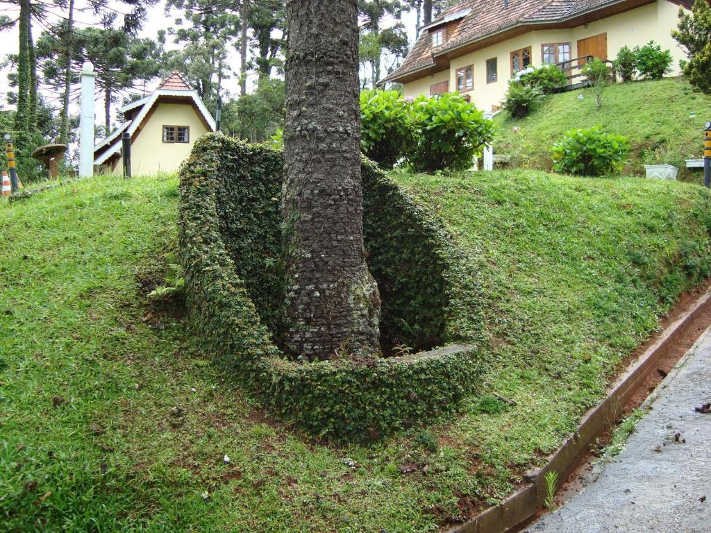  Chalé Suiço de Campos do Jordão